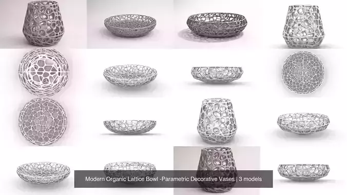 Modern Organic Lattice Bowl -Parametric Decorative Vases