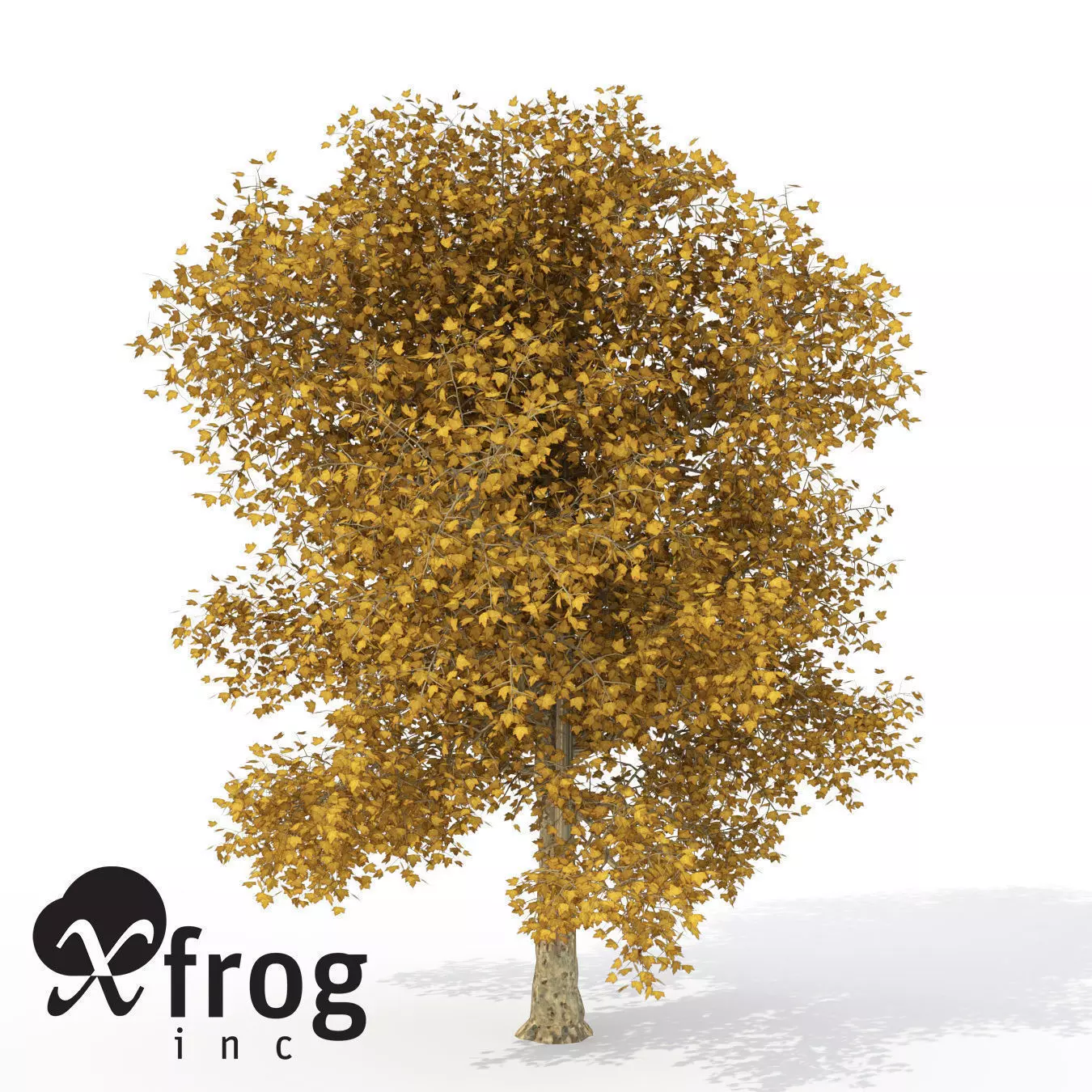 XfrogPlants Autumn London Planetree 3D model