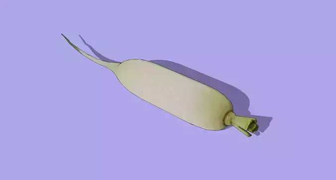 Daikon Radish Low-poly 3D model 7