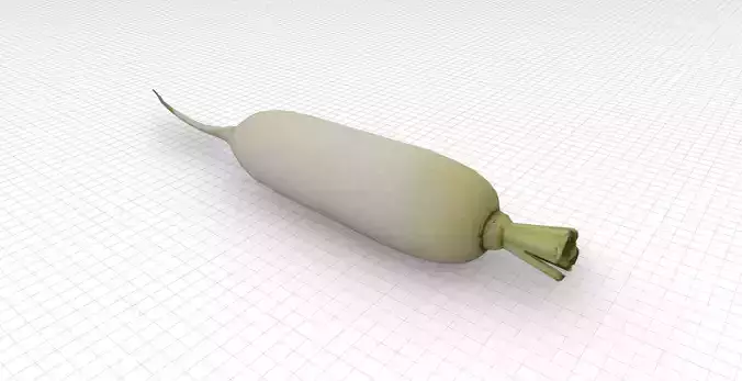 Daikon Radish Low-poly 3D model