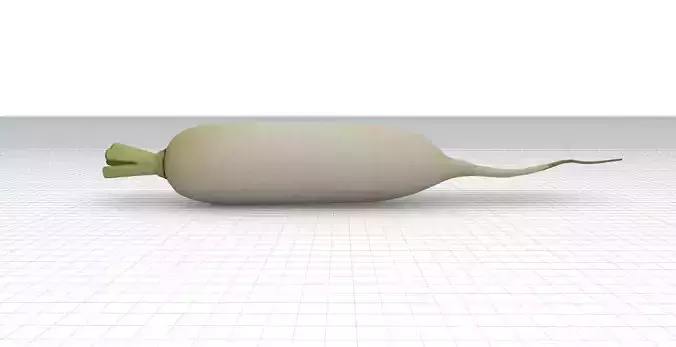Daikon Radish Low-poly 3D model 5