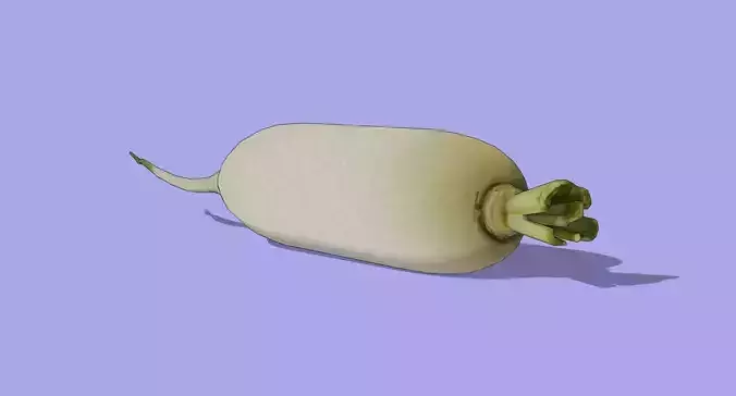 Daikon Radish Low-poly 3D model 2