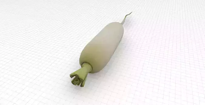 Daikon Radish Low-poly 3D model 4