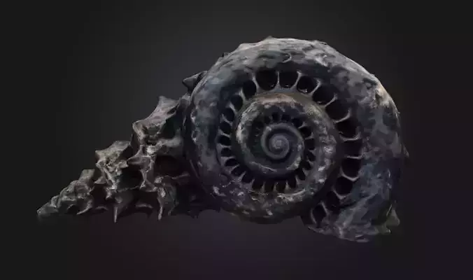 Seashell 3D Low-Poly Model