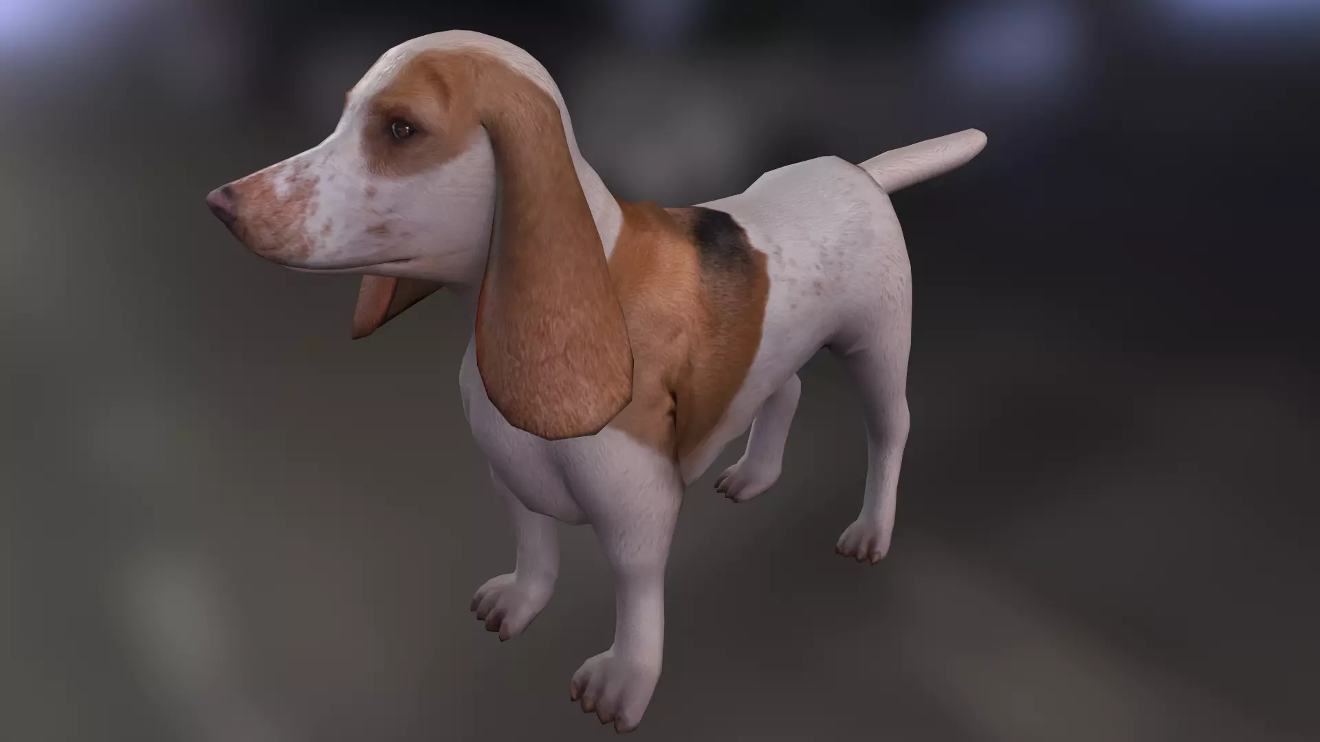 Basset Hound Low-poly 3D model