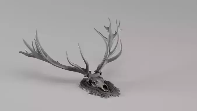 001720 Deer Skull with Antlers Raw 3D Scan
