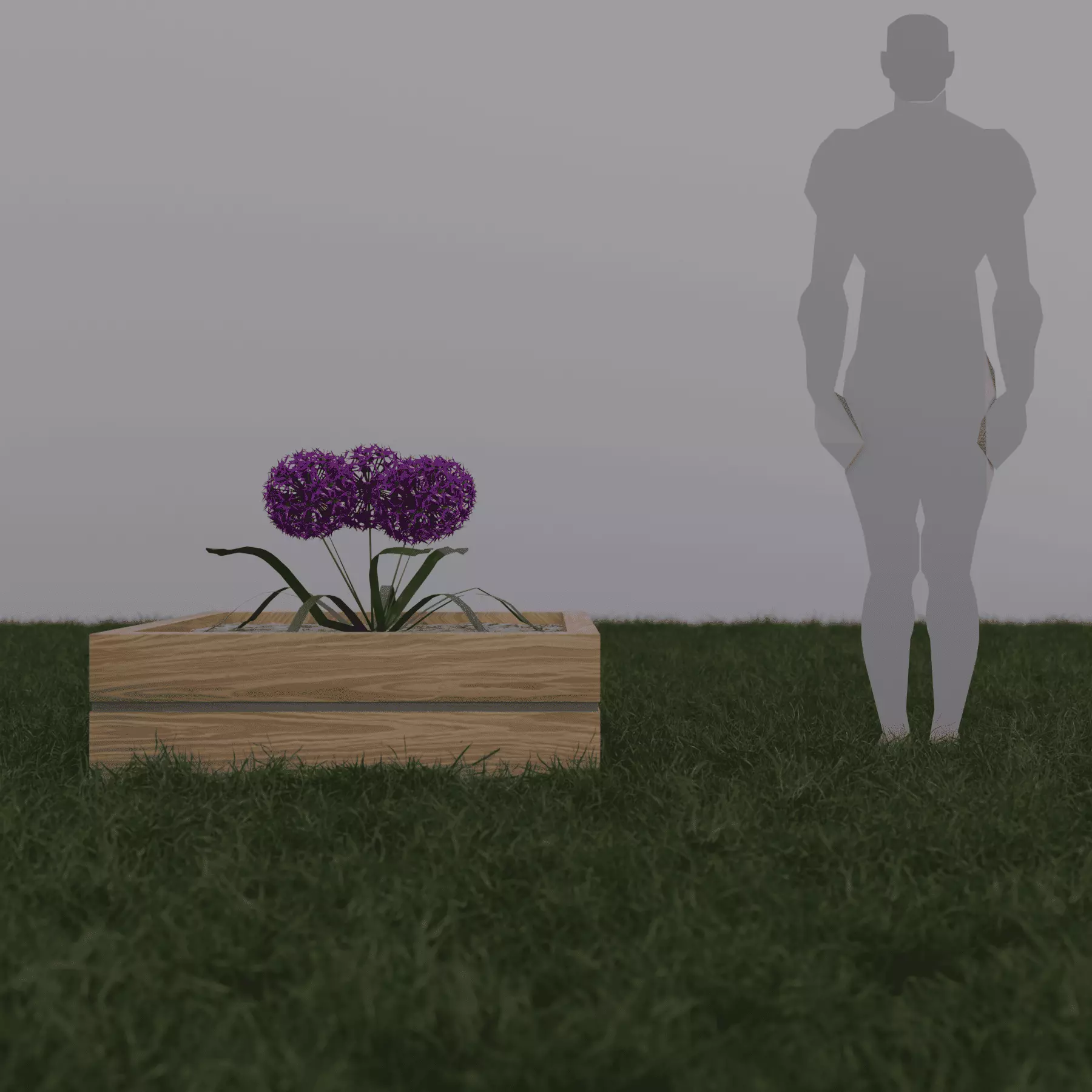 3D models of Anemone hupehensis and Allium aflatunense Low-poly 3D model