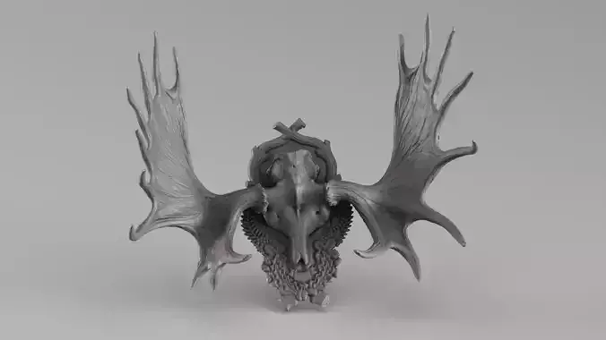 001721 Moose Skull with Antlers Raw 3D Scan