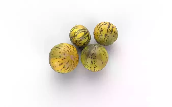 Melon Set 02-03 Low-poly 3D model