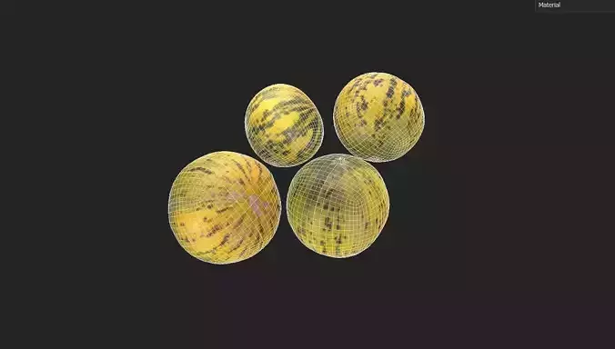 Melon Set 02-03 Low-poly 3D model 2