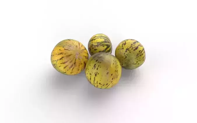 Melon Set 02-03 Low-poly 3D model 4