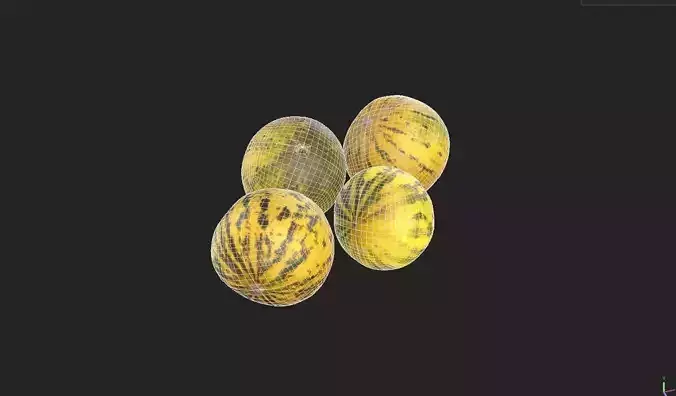 Melon Set 02-03 Low-poly 3D model 7
