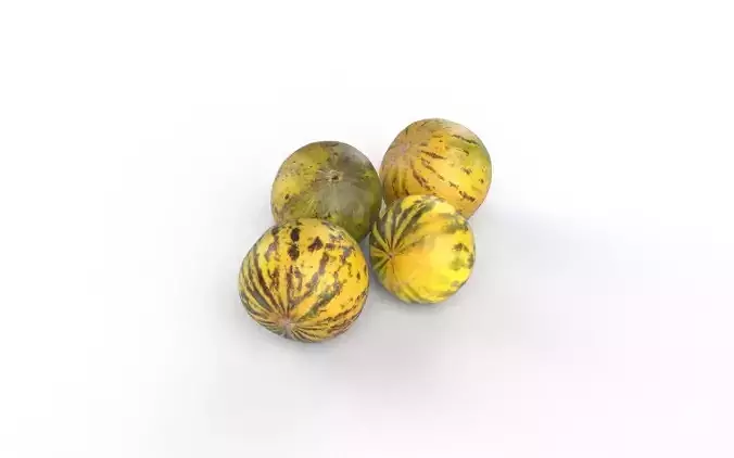Melon Set 02-03 Low-poly 3D model 6