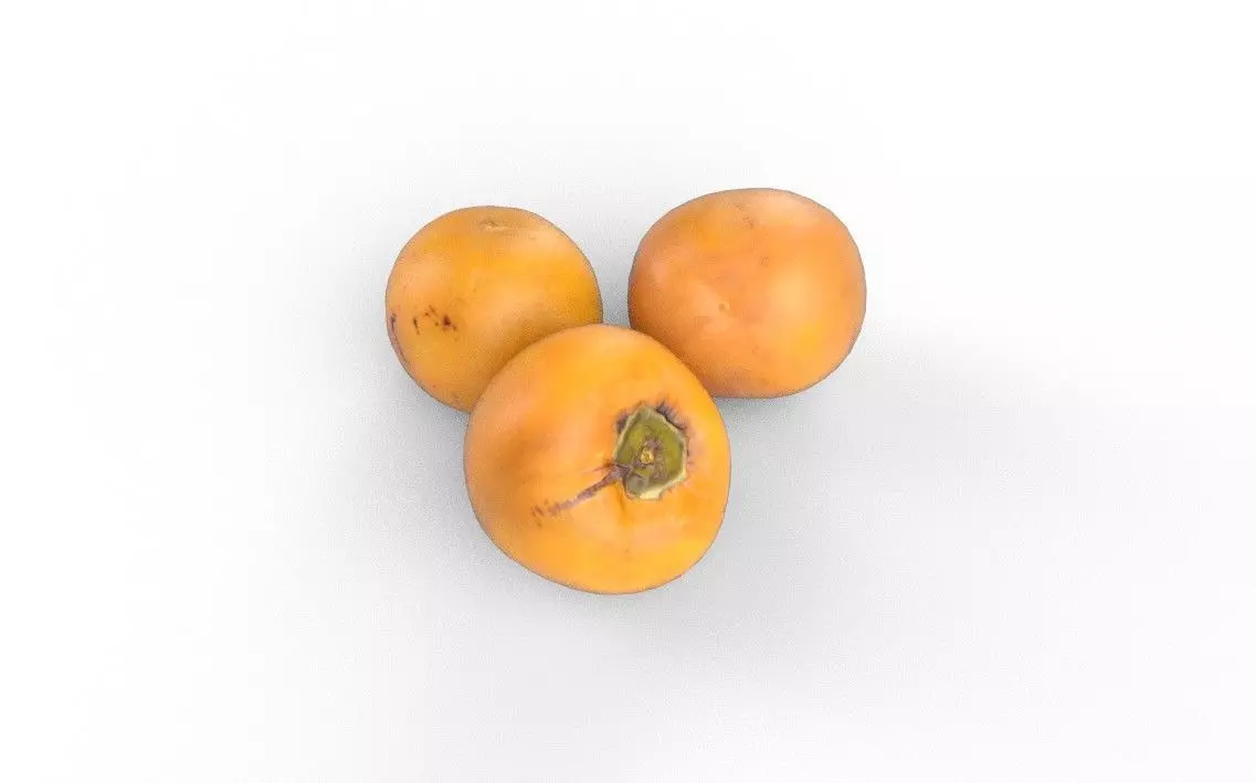 Persimmom Set M04 Low-poly 3D model