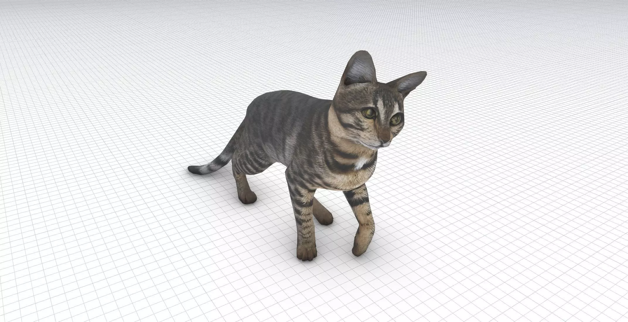Bengal cat Low-poly 3D model