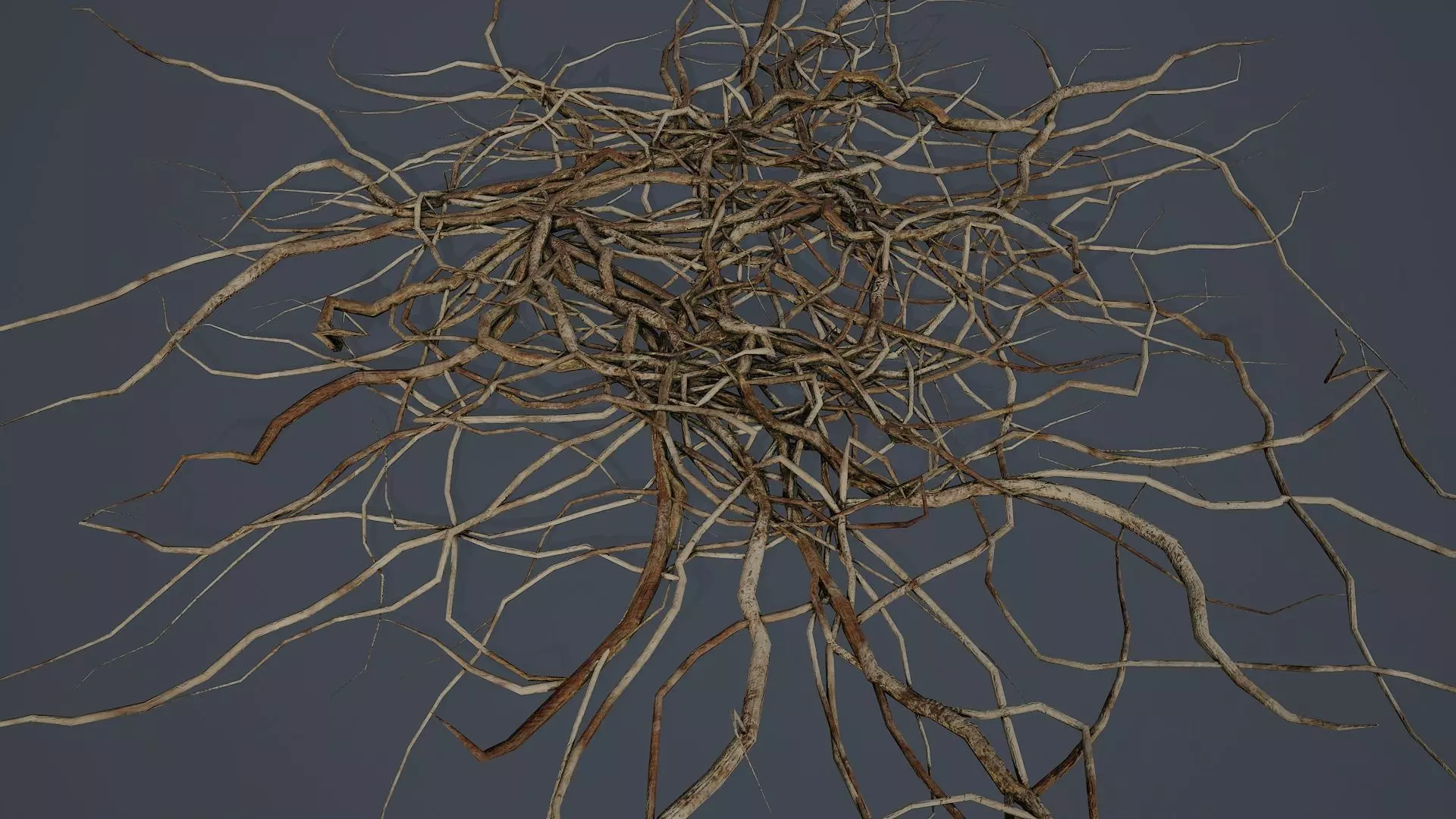 Wood Roots PBR v1 Low-poly 3D model