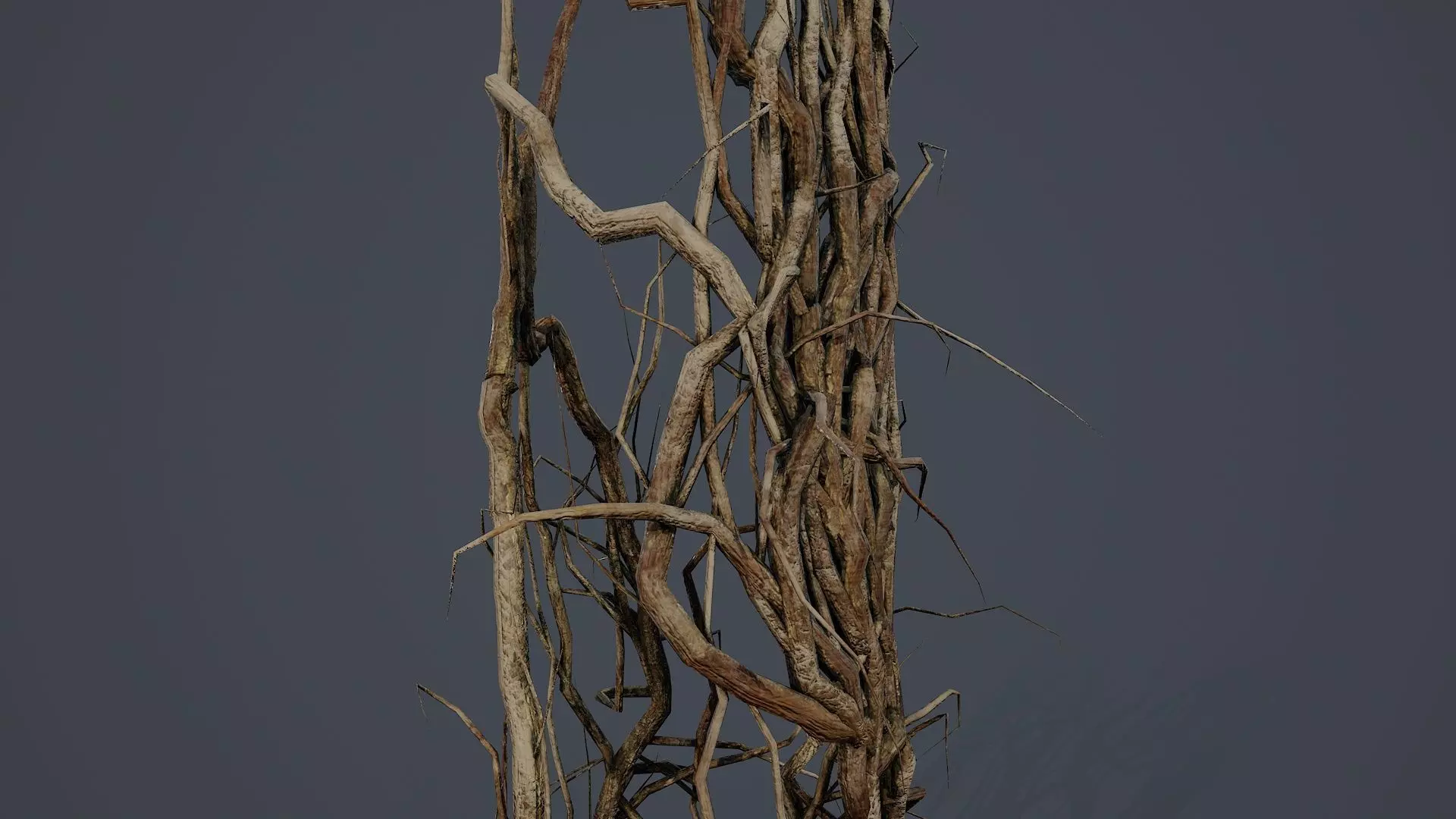 Wood Roots PBR v2 Low-poly 3D model