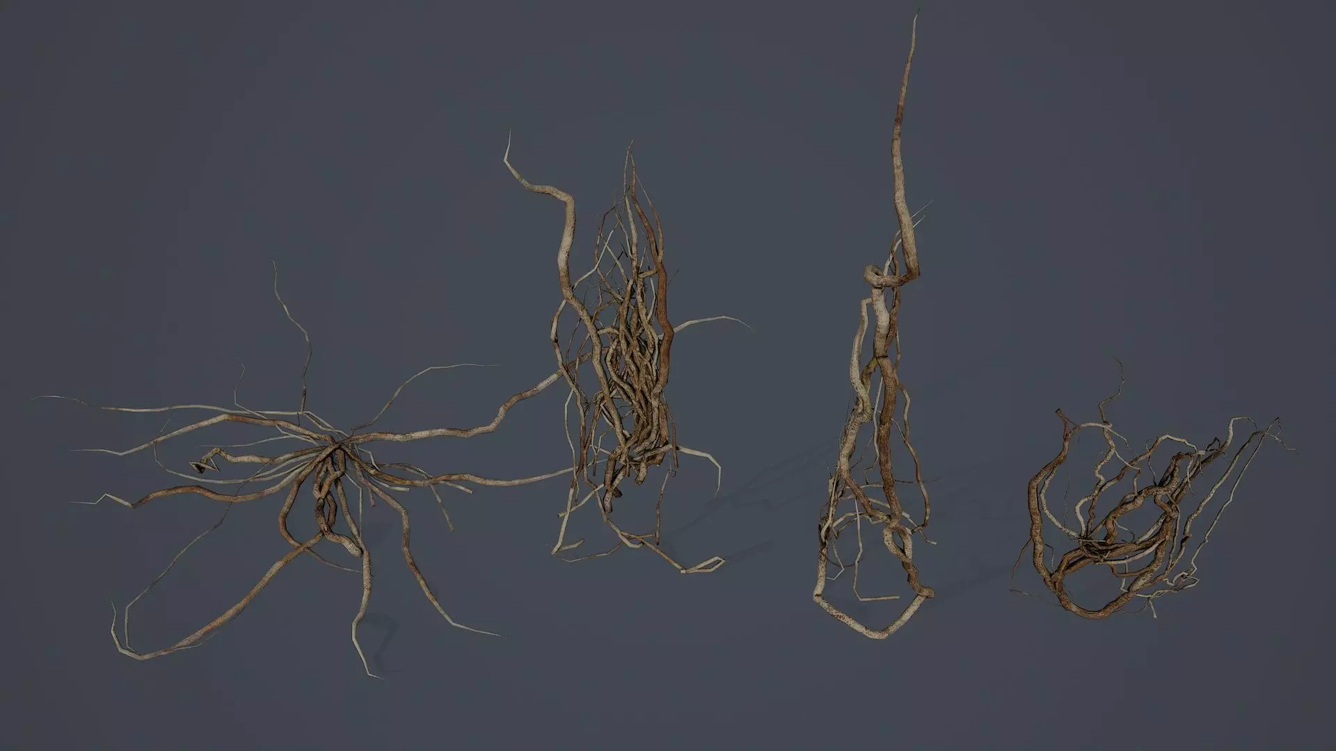 Wood Roots PBR v3 Low-poly 3D model