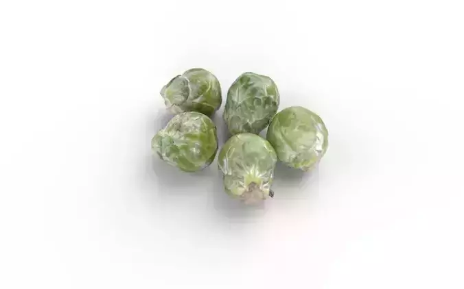 Brussels Sprouts Set02 Low-poly 3D model 6