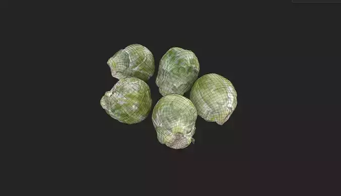 Brussels Sprouts Set02 Low-poly 3D model 7