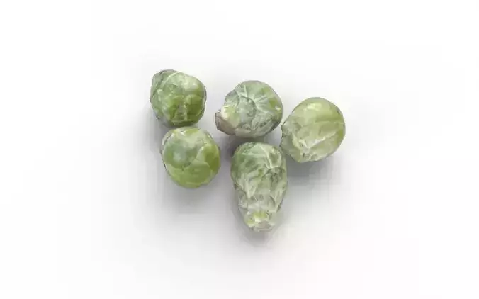 Brussels Sprouts Set03 Low-poly 3D model 6