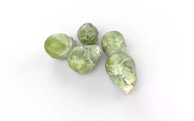 Brussels Sprouts Set03 Low-poly 3D model 4
