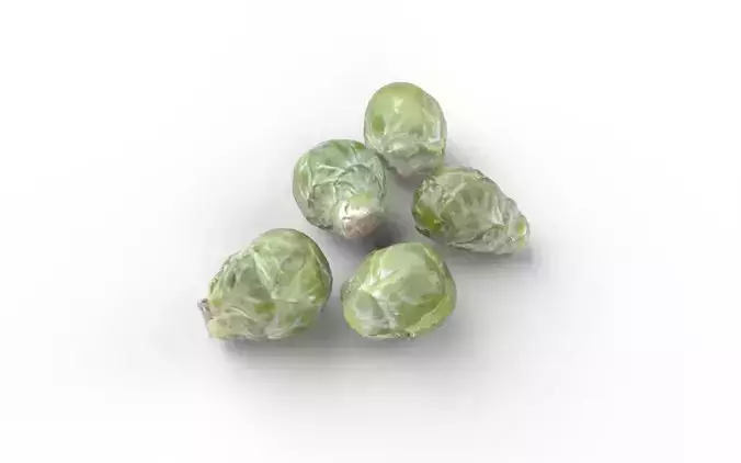 Brussels Sprouts Set03 Low-poly 3D model 5