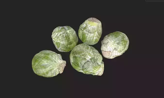 Brussels Sprouts Set04 Low-poly 3D model 2