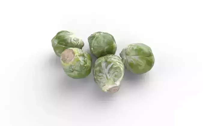 Brussels Sprouts Set04 Low-poly 3D model 6