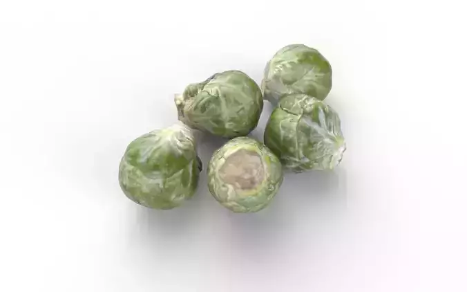 Brussels Sprouts Set04 Low-poly 3D model 5
