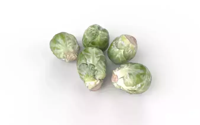 Brussels Sprouts Set04 Low-poly 3D model 4