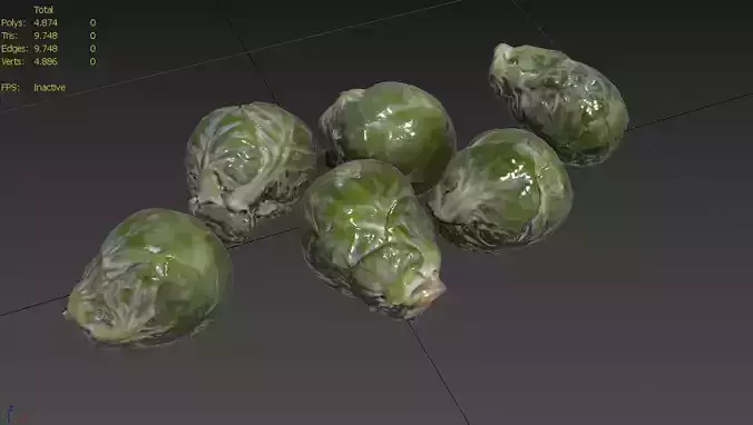 Brussels Sprouts Set05 Low-poly 3D model 3