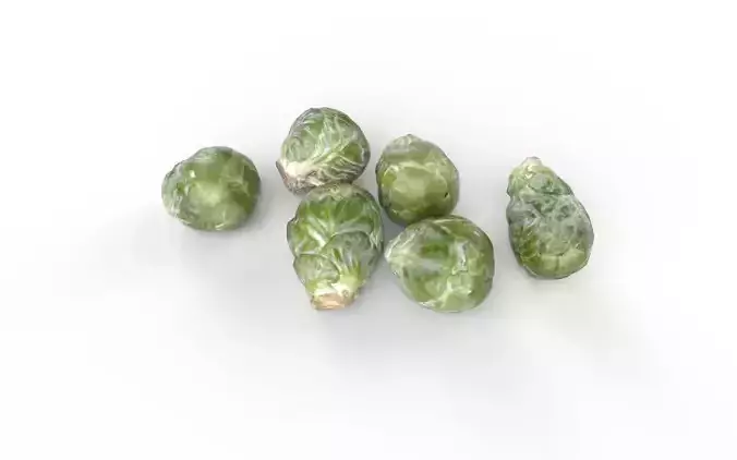 Brussels Sprouts Set05 Low-poly 3D model 5