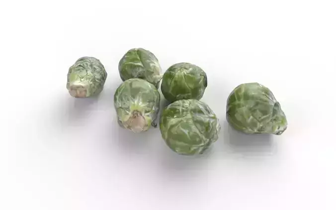 Brussels Sprouts Set05 Low-poly 3D model