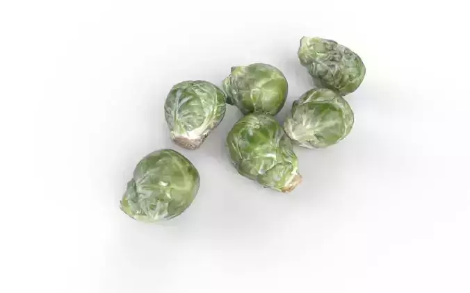 Brussels Sprouts Set05 Low-poly 3D model 4