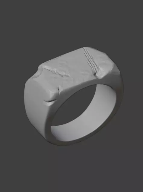 Stone Rock Ring at 3d printed file 3D print model