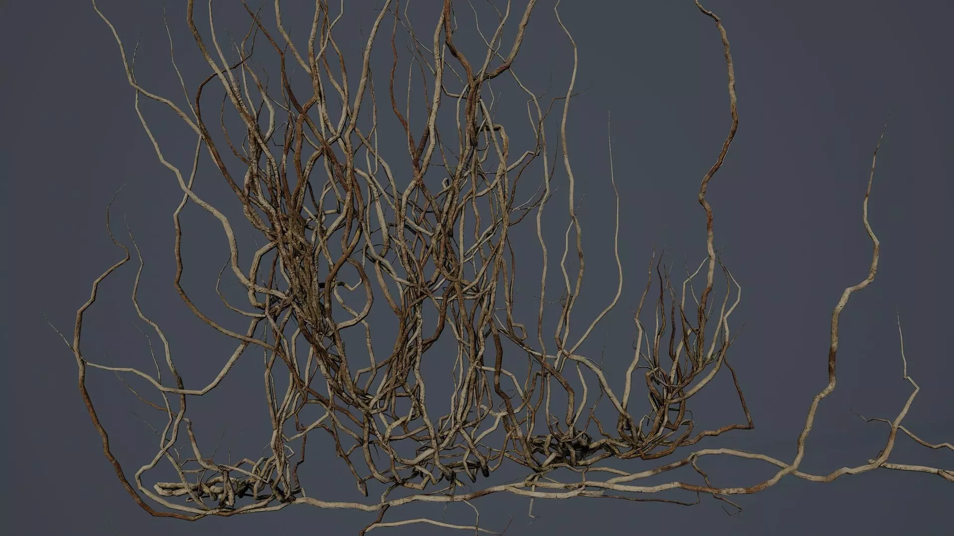 Wood Roots PBR v4 Low-poly 3D model