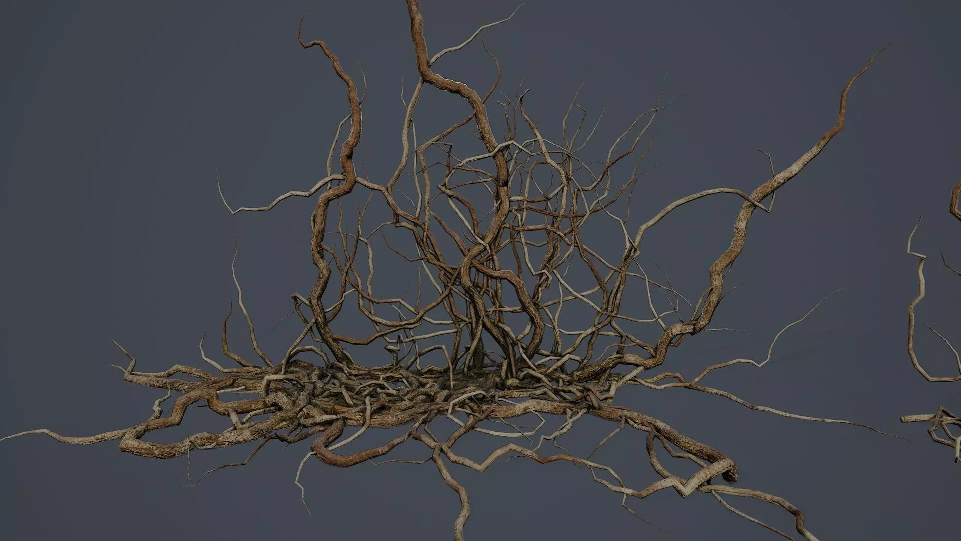 Wood Roots PBR v5 Low-poly 3D model
