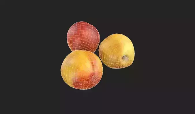 Nectarin Set05 Low-poly 3D model 7