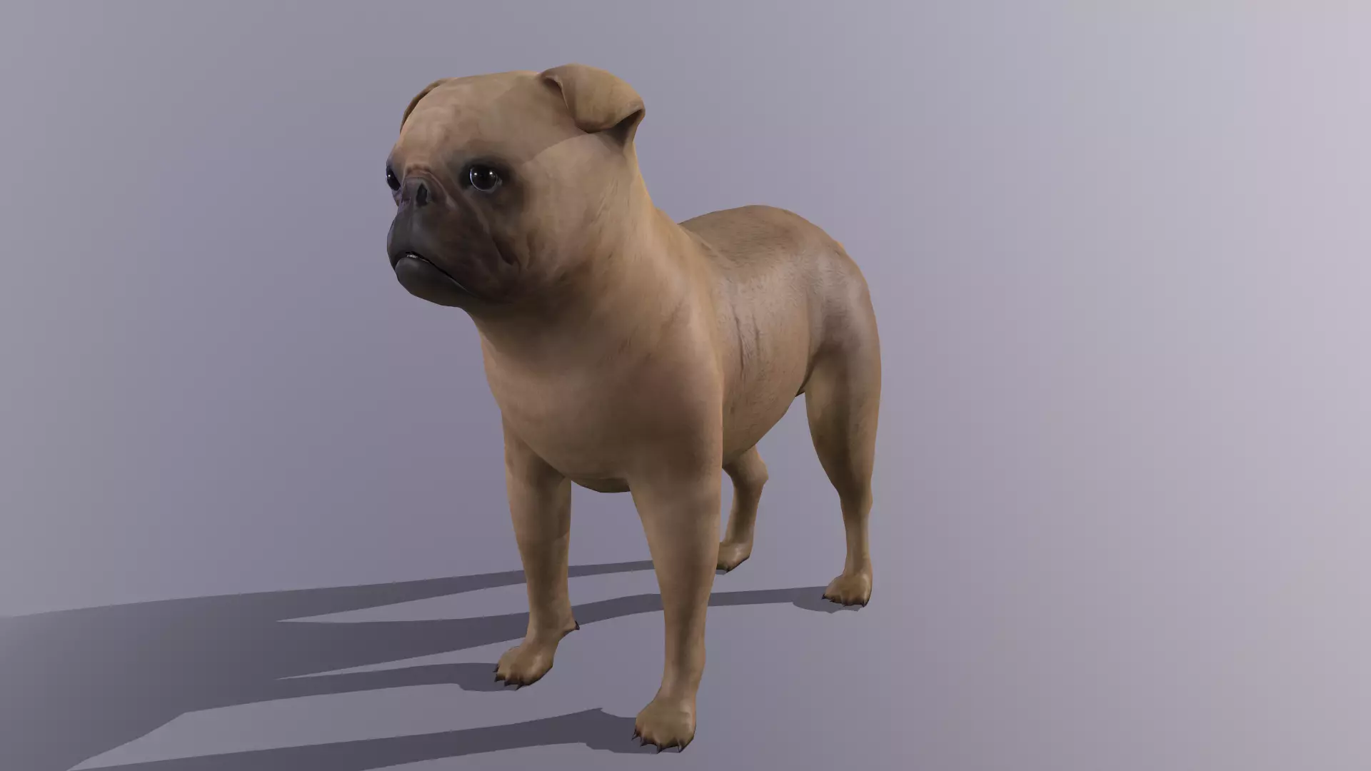 English Bulldog Low-poly 3D model