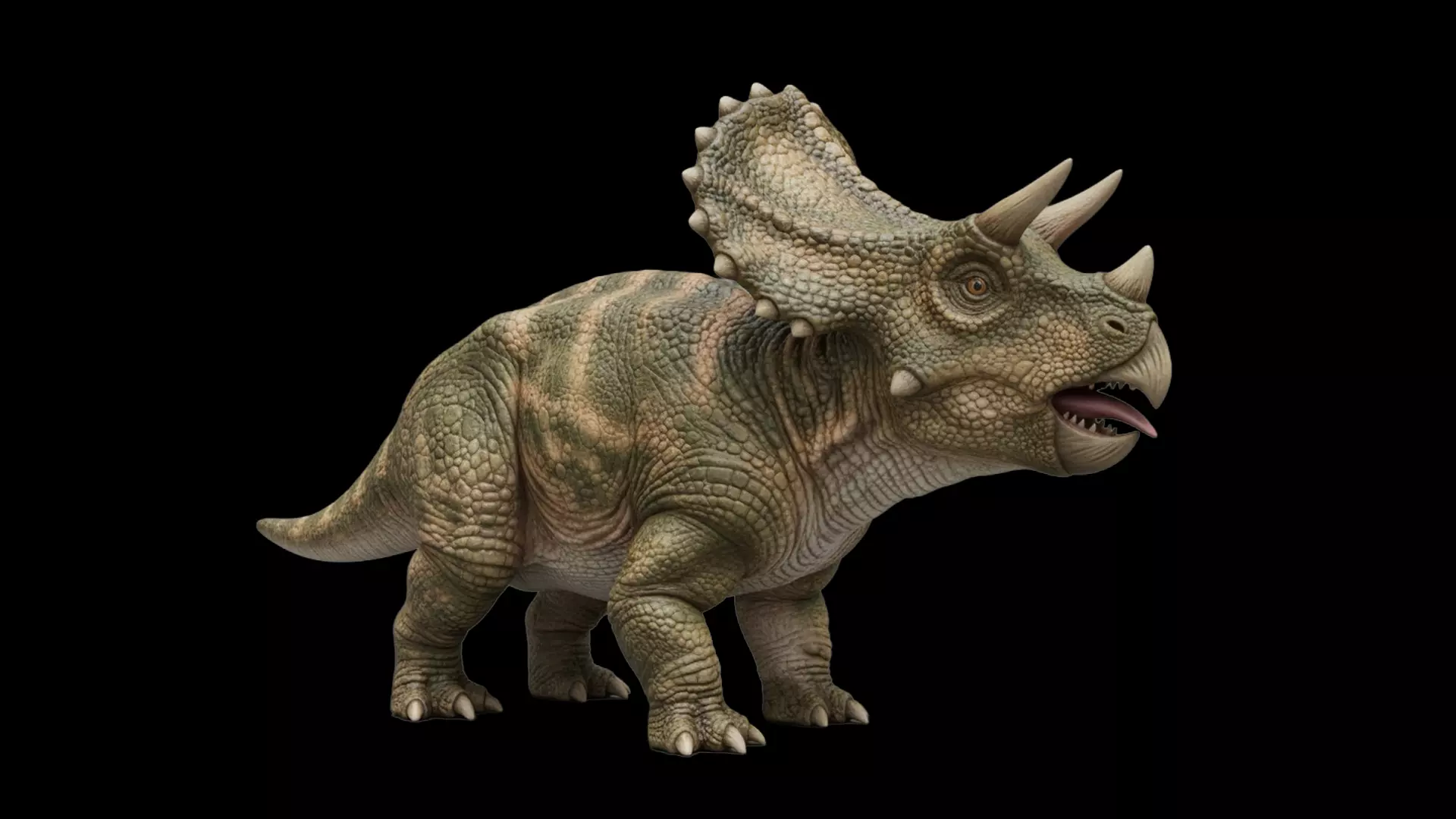 Triceratops 3D print model