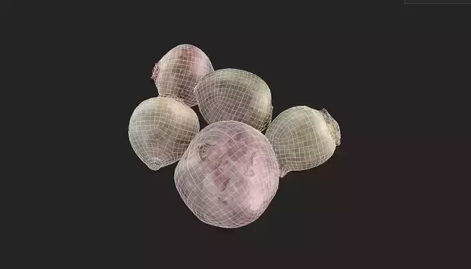 Beet Set01 Low-poly 3D model 7