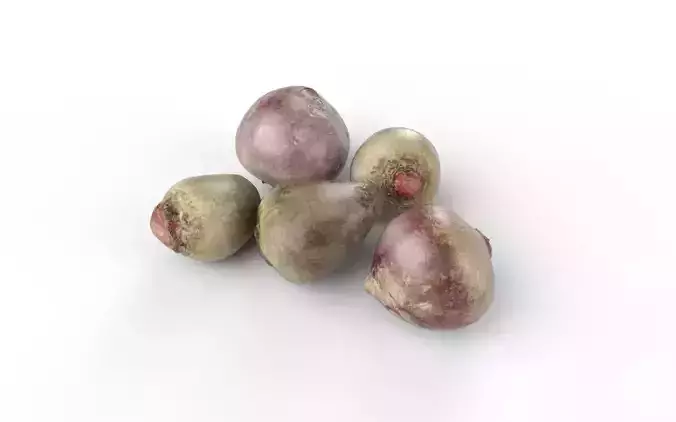 Beet Set01 Low-poly 3D model