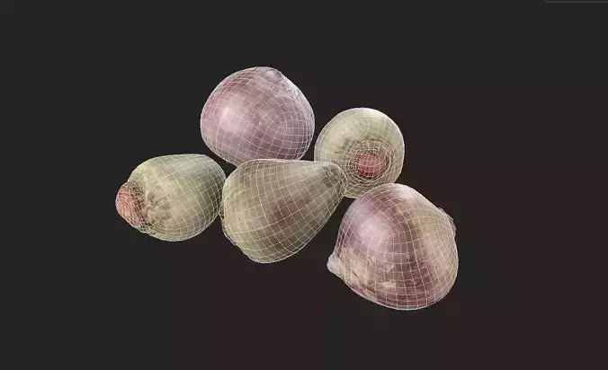 Beet Set01 Low-poly 3D model 2