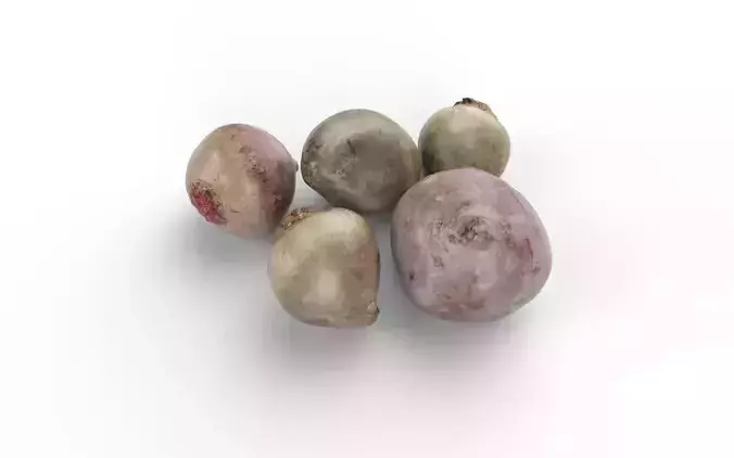 Beet Set01 Low-poly 3D model 5