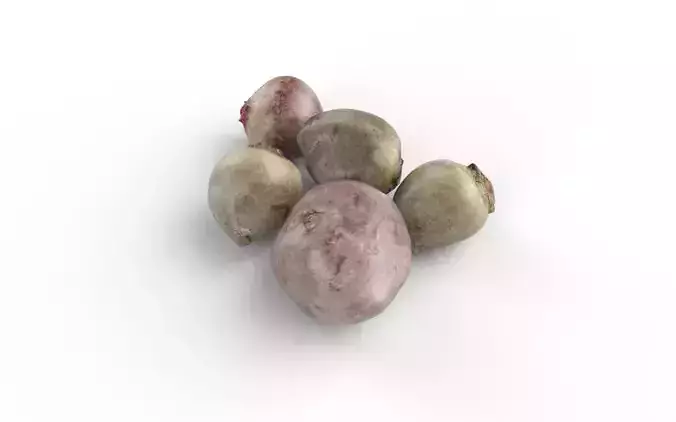 Beet Set01 Low-poly 3D model 6