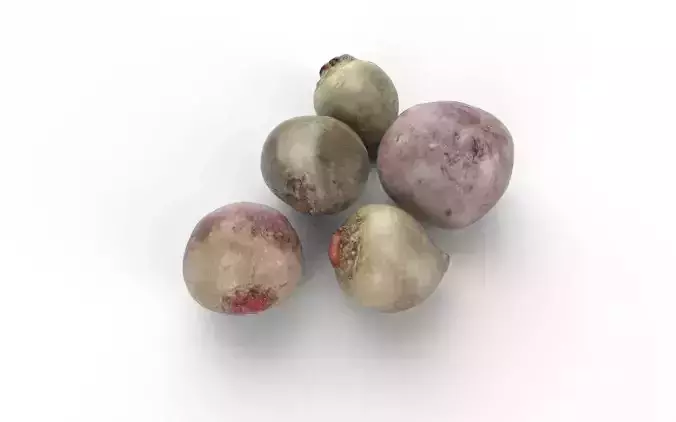 Beet Set01 Low-poly 3D model 4