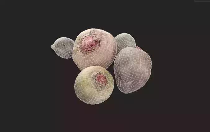 Beet Set02 Low-poly 3D model 7