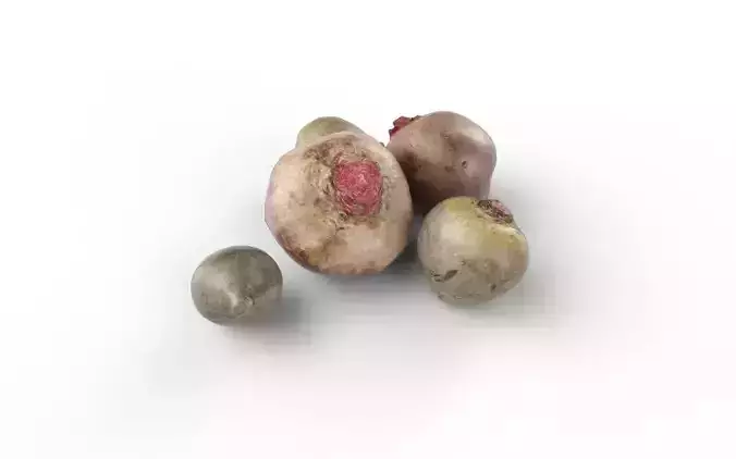 Beet Set02 Low-poly 3D model 5