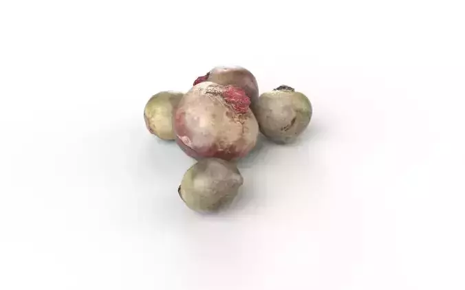 Beet Set02 Low-poly 3D model 4
